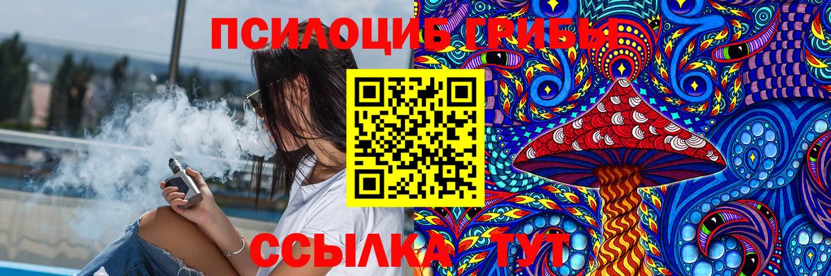 Химки  Галлюциногенные грибы мухоморы  Вход с VPN  хочу наркоту  Псилоцибиновые грибы мицелий 